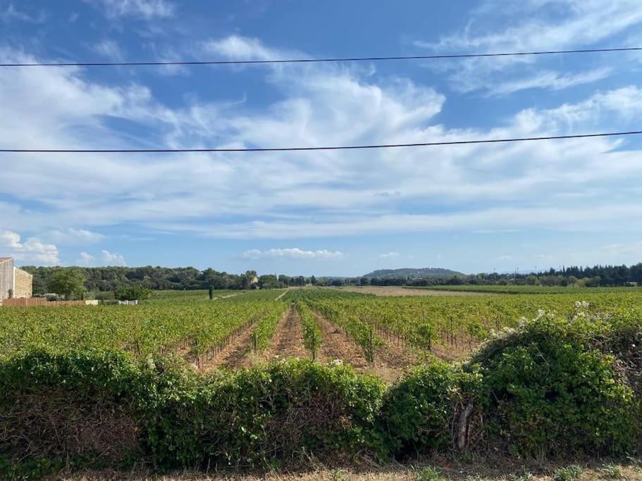 Une Parenthese Face Aux Vignes Sorgues Exteriér fotografie
